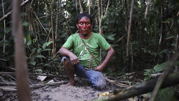 Indigenous communities living in the world's rainforests are struggling to survive as international firms extract their resources.