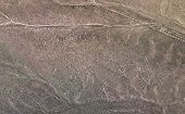 Los hallazgos encontrados superan en antigüedad a las famosas Líneas de Nazca. 