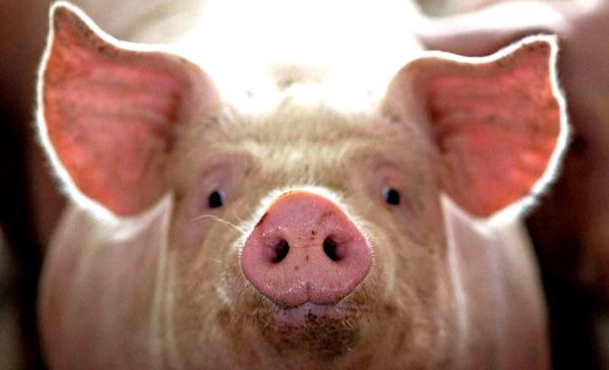 Iowa farmer fears Mexico might start importing pork from Brazil or Canada.