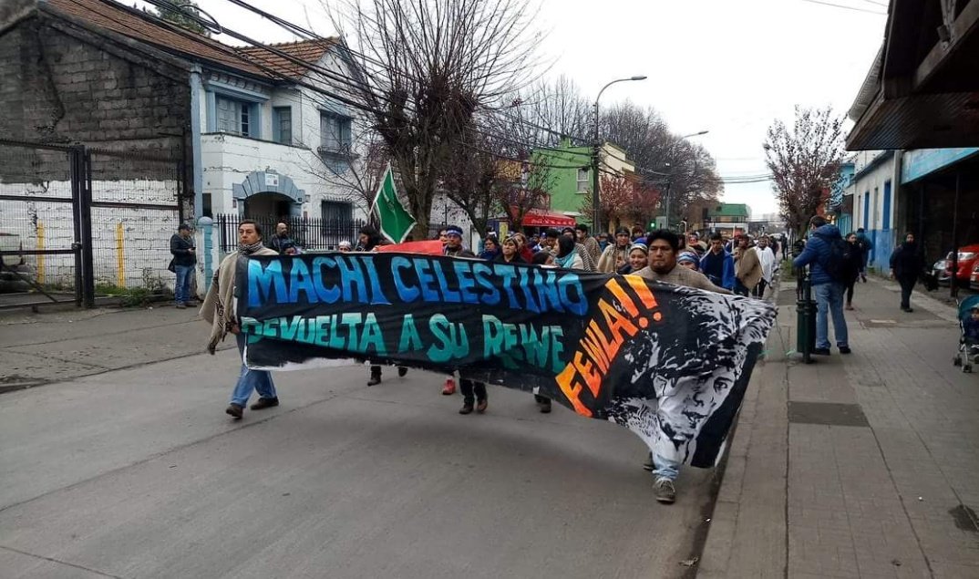 La marcha comenzó en la plaza Roberto Godoy y llegó hasta el edificio del gobierno regional en Temuco.