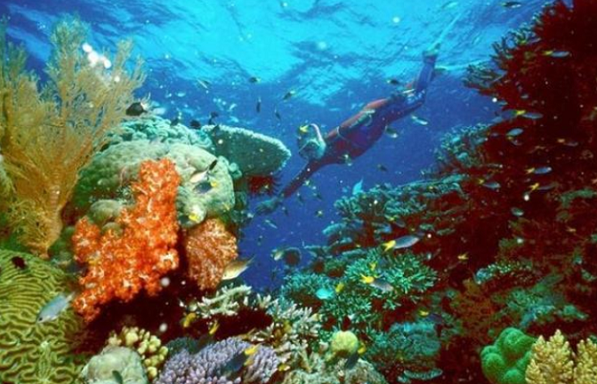 The UN body added the reef which Charles Darwin described as 