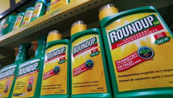 Monsanto's Roundup weedkiller atomizers are displayed for sale at a garden shop near Brussels, Belgium November 27, 2017.