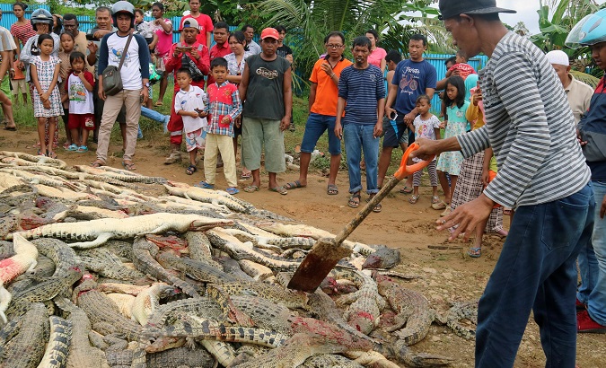 Almost 300 crocodiles killed by angry mob in a breeding farm in Indonesia.