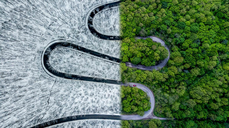 En la categoría Abstracto, la imagen ganadora es "Weather Snake" (Clima de Serpiente) de Ovi D. Pop, y muestra una carretera que se divide entre dos ambientes climáticos, uno con un bosque cubierto por el hielo y otro con el mismo bosque pero en plena primavera. 