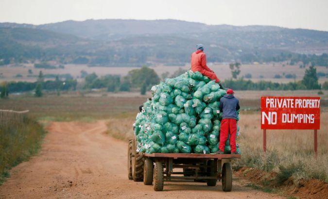 Farm workers harvest cabbages at a farm in Eikenhof, near Johannesburg, South Africa.