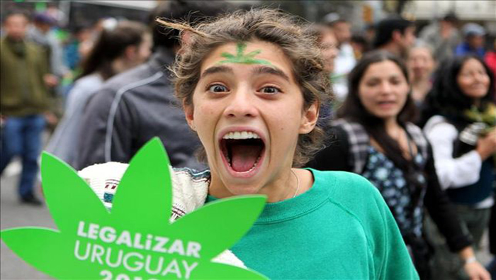 A partir de 2014, Uruguay se convirtió en el primer país del mundo en legalizar la venta y el cultivo de marihuana plenamente.
