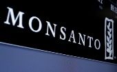 Glyphosate is used in weedkillers like Roundup, made by Monsanto, whose parent company Bayer had urged that the ban can be scrapped.