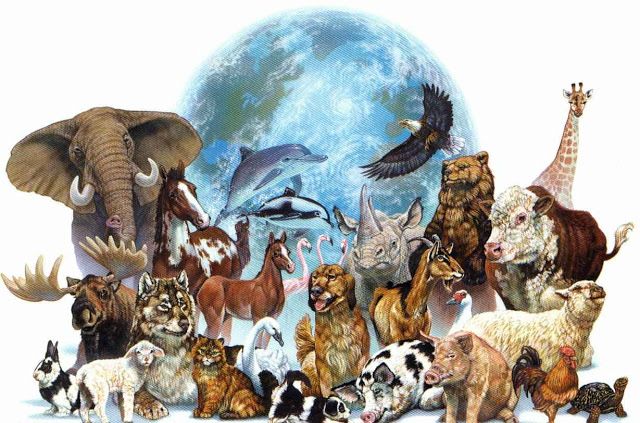 Cada 4 de octubre se celebra en Día Mundial de los Animales en atención al problema de las especies en peligro de extinción