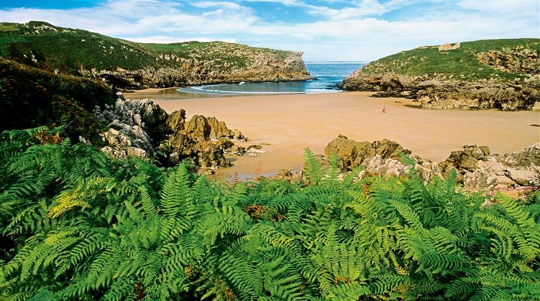 La Playa de Cué, situada en Llanes, Asturias comprende 380 metros de extensión y está ubicada en una región declarada "Paisaje Protegido de la Costa Oriental asturiana" en España.