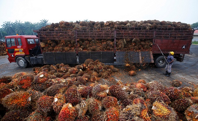 Environmentalists have increased pressure on companies and governments in Indonesia and Malaysia to “clean up” their supply chains and put an end to deforestation.