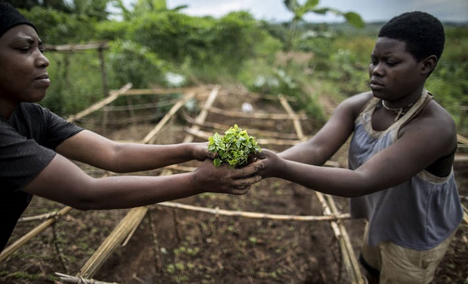 Women planting papaya seeds at a tree nursery in Rwanda: the soil is treated with the 