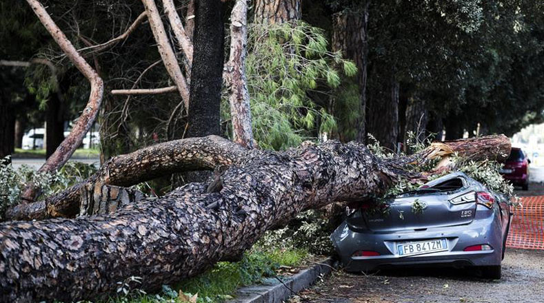 En algunas ciudades como Génova, Roma y Nápoles, las autoridades ordenaron el cierre de calles y carreteras, como medida de prevención, ante la caída de árboles y escombros por las intensas lluvias.