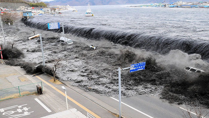 En 2015, la Asamblea General de la ONU designó el 5 de noviembre como el Día Mundial de Concienciación sobre los Tsunamis.