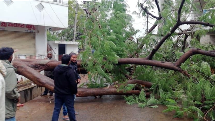 Cientos de árboles y semáforos fueron derrumbados tras los fuertes vientos y las lluvias intensas que azotan varias regiones del país.