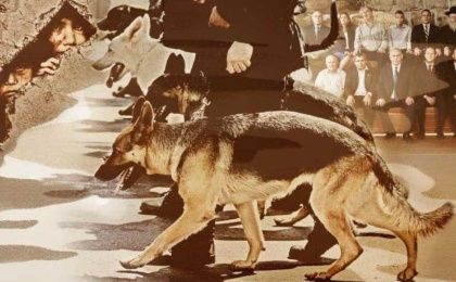 Sionismo: Sobre provocaciones y perros de la guerra