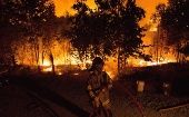La Oficina Nacional de Emergencia del Ministerio del Interior (Onemi) informó que 111 incendios forestales han sido registrados en el país.