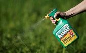 Se trata del segundo fallo condenatorio relacionado al herbicida Roundup que pesa sobre Monsanto en EE.UU.