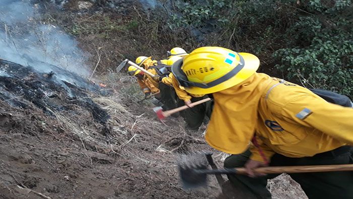 Alrededor de 6.700 bomberos se encuentran desplegados para combatir los incendios forestales.