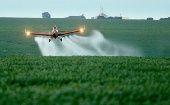 Datos difundidos por la Empresa Brasileña de Pesquisa Agropecuaria revelan que casi 20 por ciento de los agrotóxicos, manejados por el método de pulverización aérea, viajan fuera de la región de aplicación.