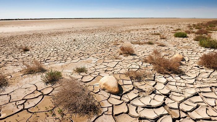 La desertificación representa la degradación y deterioro ecológico de suelos fértiles y productivos, en términos del potencial biológico.