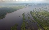 Noruega y Alemania aseguran que Bolsonaro no está realmente interesado en combatir la deforestación en la selva amazónica.