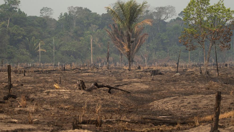 Pará es uno de los tres estados más afectados por el fuego en Brasil.