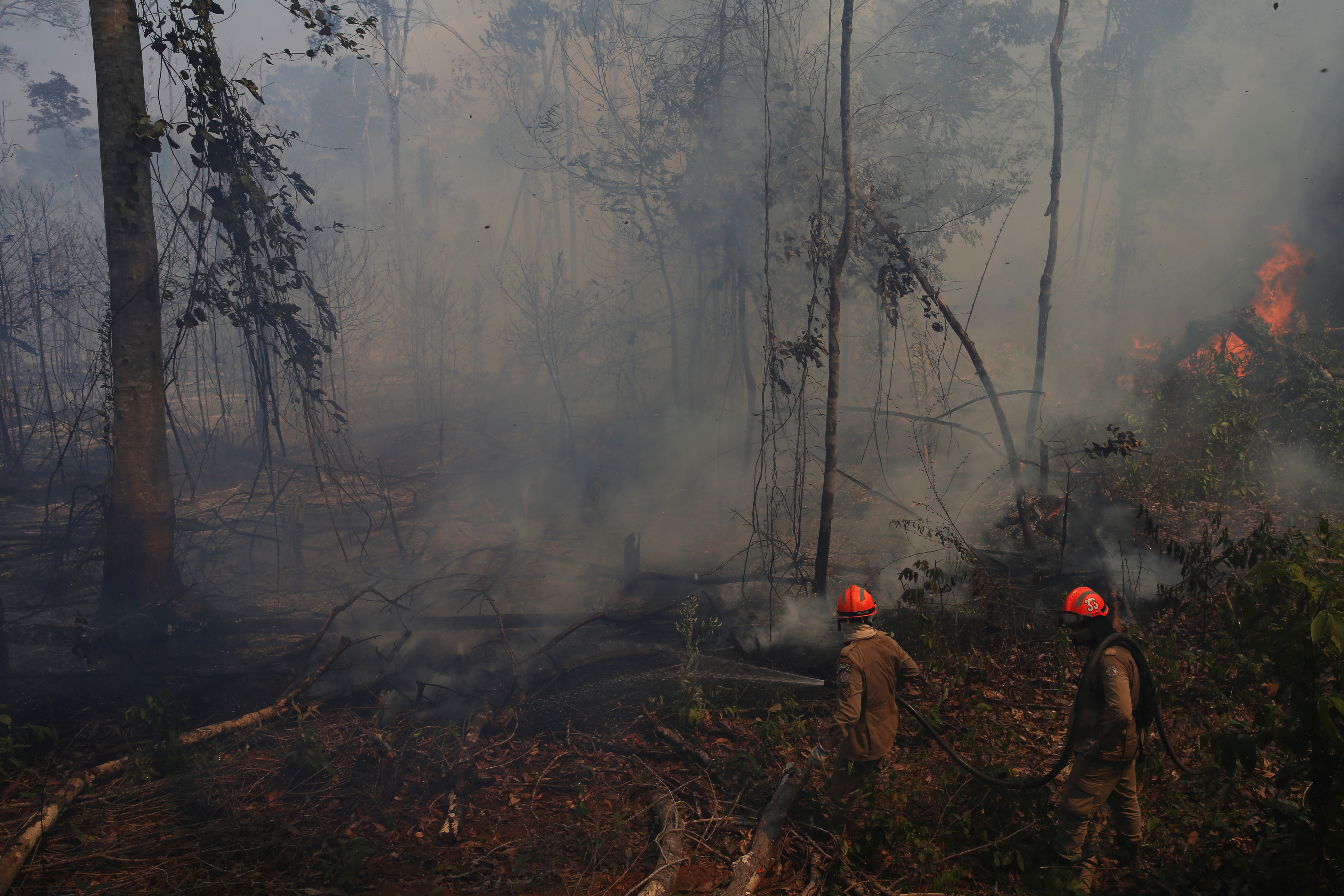 El incremento de la deforestación para fines comerciales, legales e ilegales, ha ocasionado que este año ocurrieran 71.497 focos de incendios en la Amazonía brasileña.