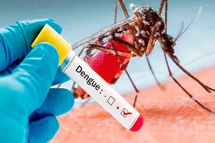 En la región de Latinoamérica y El Caribe, las Naciones con mayores índices de dengue hemorrágico son Brasil, Colombia, Honduras, México y Nicaragua.