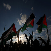 Palestina: Una crónica necesaria