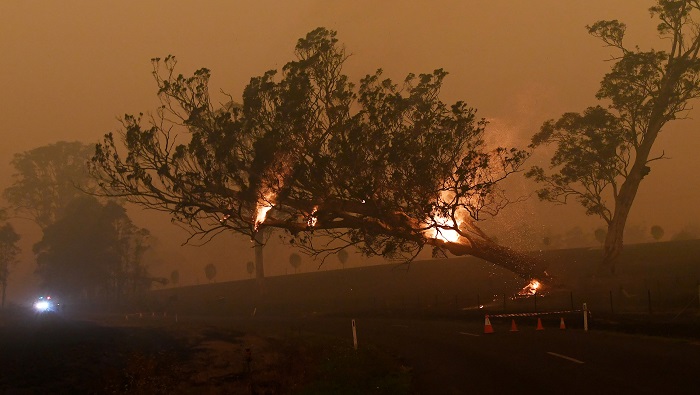 Los incendios forestales han perjudicado el doble de terreno que los incendios en California (2018) y en la Amazonía suramericana (2019), sumados.