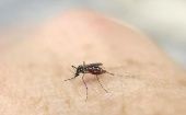 En Paraguay, durante el 2019 fueron confirmados 10.000 casos de dengue, según el ente de Vigilancia de la Salud.
