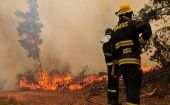 De acuerdo a las autoridades, el incendio denominado "Tromen" ha afectado cuatro hectáreas en la capital de la región de La Araucanía.
