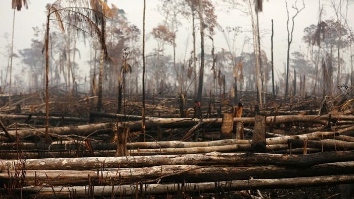 La deforestación de la Amazonía brasileña saltó de 4.219 kilómetros cuadrados en 2018 hasta más de 9.165 kilómetros cuadrados en 2019.