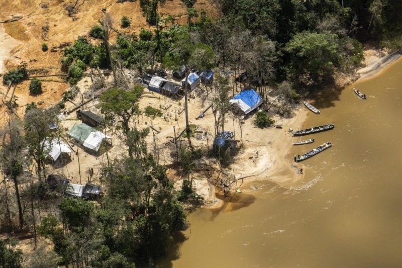 Comunidades indígenas en Brasil temen que la pandemia produzca un aumento de la deforestación ilegal en el territorio.