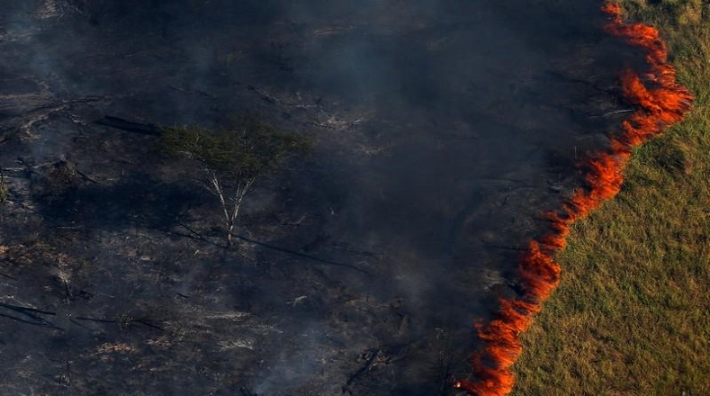 Esto se suma a los grandes incendios ocurridos el pasado año, 2019 en la Amazonía, que fueron los más graves en los últimos 11 años.