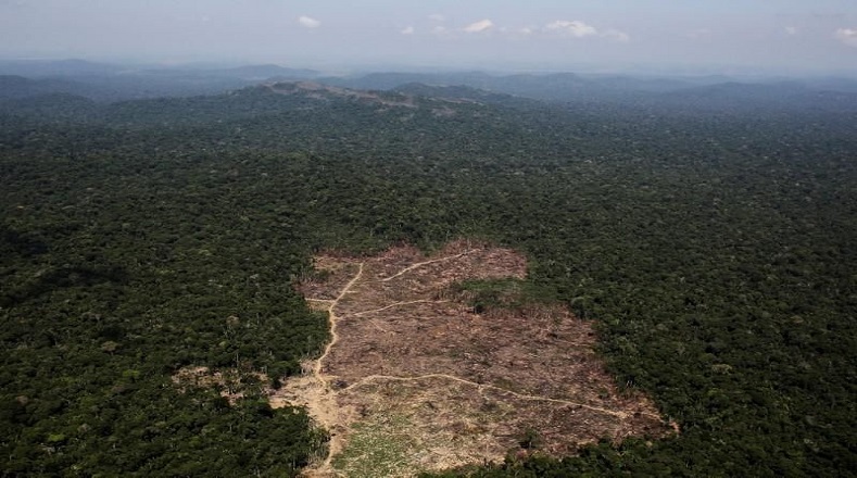 La desforestación se está comportando de manera creciente y progresiva, en eso ha influido decisivamente las acciones humanas que han hecho más crítico el proceso.