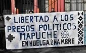Varias organizaciones han demandado la libertad de los mapuches.