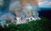 En lo que va de año, se detectaron en el humedal de Pantanal un total de 4.203 focos de incendios.