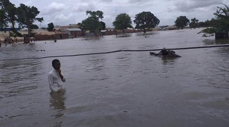 Intensas precipitaciones en Somalia se han registrado desde inicios del pasado mes de mayo, provocando grandes inundaciones, sobre todo en el sureste del país.