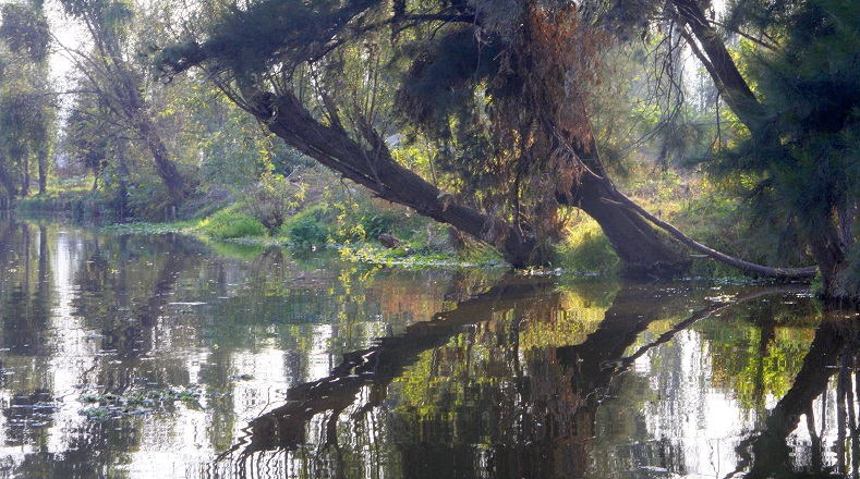 Los canales de Xochimilco componen el Lago del mismo nombre. Una de sus características más peculiares es la existencia de las chinampas, extensiones agrícolas rectangulares que se sostienen sobre el agua. 