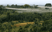Aerial use of glyphosate in Colombia. 