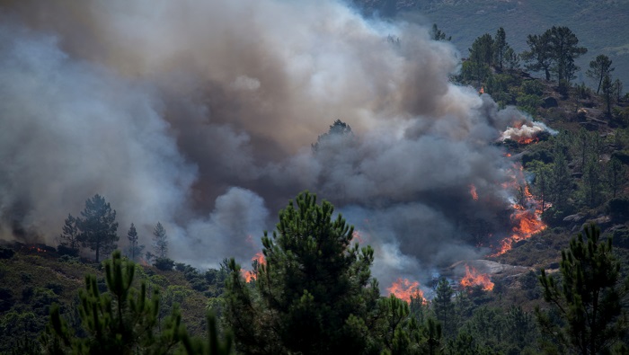 Durante el actual año ha habido la menor cantidad de incendios forestales que se han presentado en el país durante la última década.