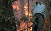 Bomberos y voluntarios luchan para atenuar las llamas y salvar el Pantanal brasileño.