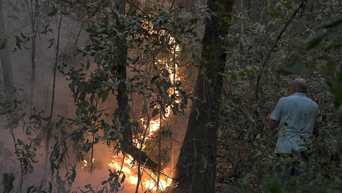 El desastre ambiental que vive Brasil vincula grandes incendios forestales con la tala indiscriminada. Mientras, el Gobierno suprimió los fondos para la prevención de la deforestación.