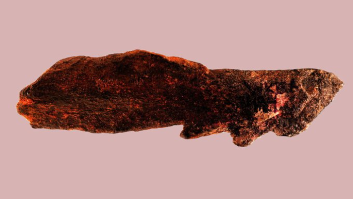 El objeto resalta entre un un conjunto de 52 piezas prehistóricas halladas hace más de medio siglo en una excavación en la Garganta de Olduvai (Tanzania).