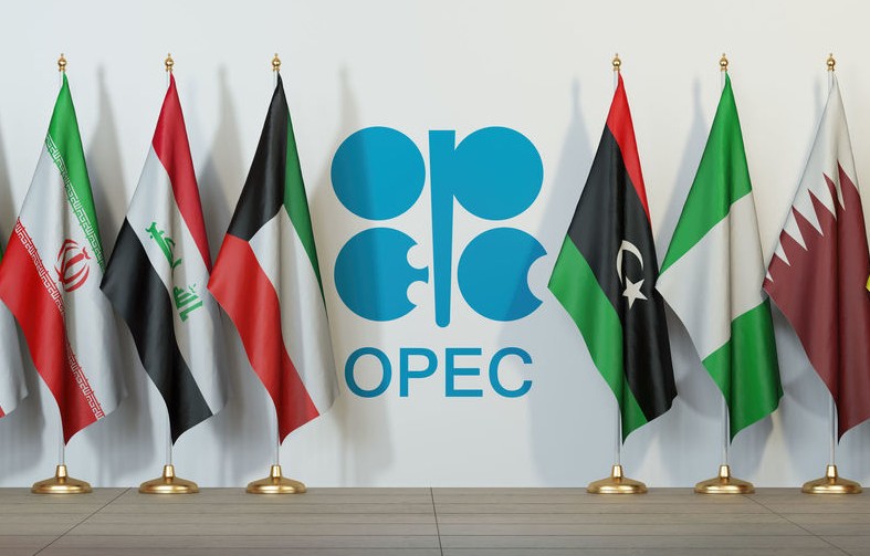 La OPEP ha vivido un 2020 de caída de precios del crudo, debido a la expansión mundial de la pandemia de la Covid-19.