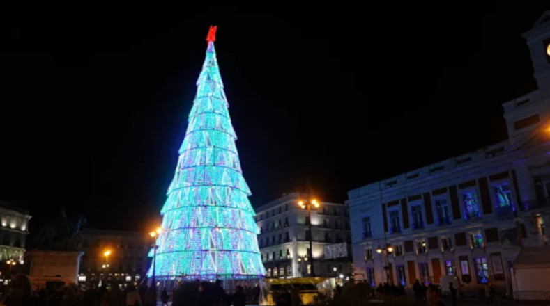 Unos de los árboles gigantes que engalanan las calles de Madrid
