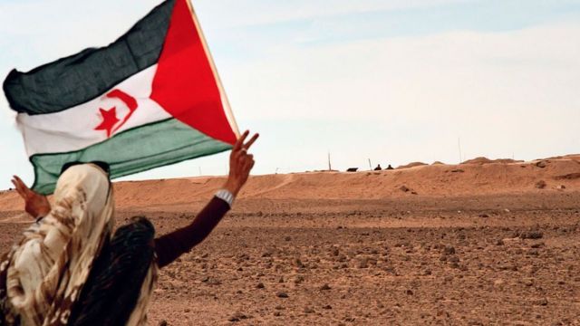 Saharauis y Palestinos: Víctimas de los Mismos Criminales