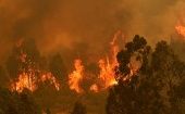 La Corporación Nacional Forestal alertó que para este domingo se mantienen condiciones climatológicas propicias para la expansión de los incendios.