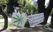 A sign reads, " Mexican Cannabis Movement."